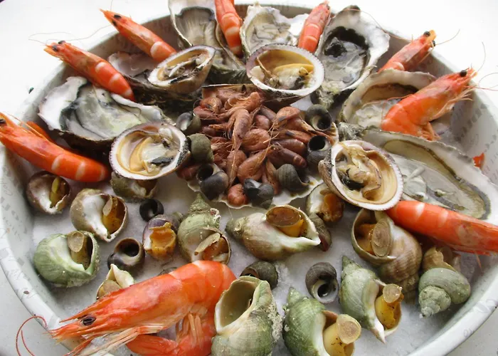 Stelie Tocqueville-en-Caux