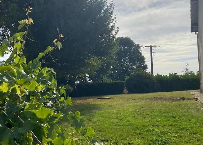 Stelie Tocqueville-en-Caux